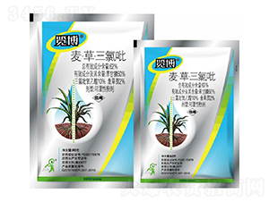 62%�����ݡ�������WP-�[��-һ�[�Ƽ�