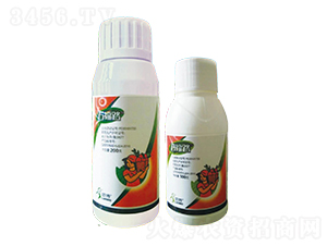 40%���ѡ�����SC-�f(w��n)��·-һ�[�Ƽ�