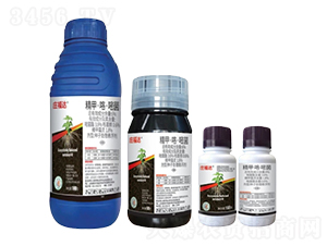 6%���ס������׾��N��̎��Ҹ�����FS��-�f���_-�л�����ƌW(xu��)