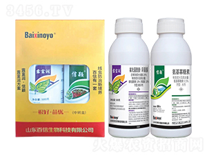 ¶����(r��n)�M��-��������