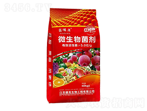 ΢�������-�Ą�(chu��ng)��ţ