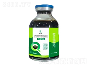 ���������ߵ���-��(chu��ng)�|�z-�Ƶ��A