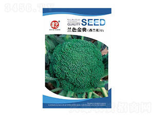 ���˷N��-�mɫ���-���S�r(n��ng)�I(y��)