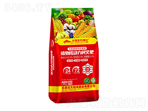 ֲ��˄�(d��ng)���²��-����S�r(n��ng)��ʿ-����S