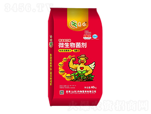 ��Ѫ����ø΢�������-�ߺ�