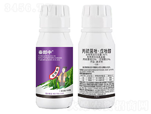 40%����������򴼑Ҹ���-������-��������