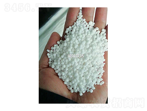 �����@�}-�Z�·ʘI(y��)