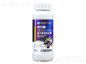 ���Ӻ��������-��ʢ��-�Z������