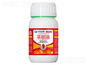 ���(sh��)��-��ʢ��-�Z������