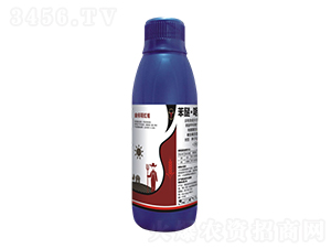 ���ס����x��-�����tñ-��ţ���H