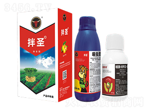 ���x��+����˪�`�������桤��߻����-��ʥ-��ţ���H