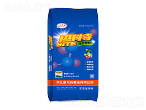 �ЙC(j��)����-����-�����ַʘI(y��)