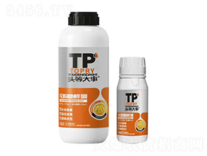 �����Ǵ���-�^�ȴ���-��������