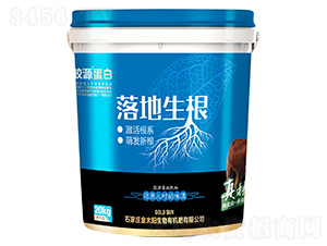 �zԴ���׷���-�������-��̫�