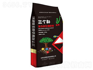 ����(g��)���(f��)��΢�������-�Ѱ�