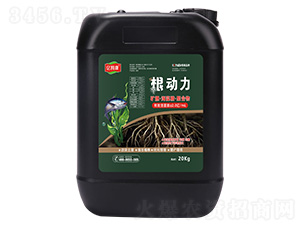 �VԴ�����徫���ۺ���-������-�|ķ�� 