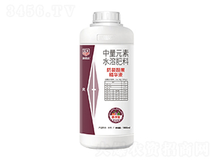 �����n�����AҺ-���_