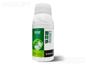 ��⏶�-�|��(l��)��(y��u)-��(qi��ng)��Ƽ�