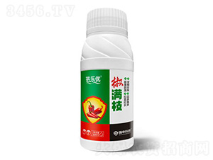 ���M֦-�|��(l��)��(y��u)-��(qi��ng)��Ƽ�