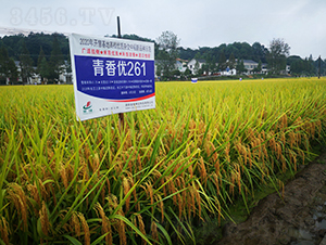 ���マ(y��u)261-ˮ���N��-�𽡷N�I(y��)