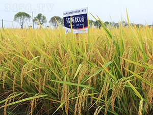 ���Ƀ�(y��u)Q6-ˮ���N��-�𽡷N�I(y��)