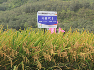 �а���35-ˮ���N��-�𽡷N�I(y��)