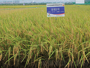 ����(y��u)2̖(h��o)-ˮ���N��-�𽡷N�I(y��)