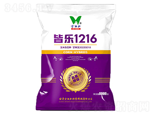 �Ԙ�1216-���׷N��-�������N�I(y��)