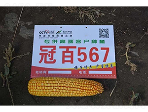 �ڰ�567-���׷N��-���S�N�I(y��)