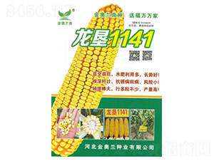 ����1141-���׷N��-���S�N�I(y��)