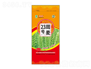 ����23̖С���N��-�S���r(n��ng)�I(y��)