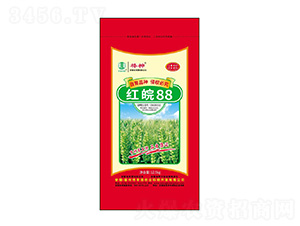 �t��88С���N��-����-�S���r(n��ng)�I(y��)