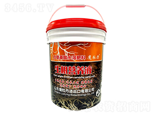 �����I(y��ng)�B(y��ng)Һ-ħ����