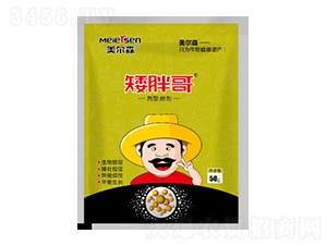 ���ָ�-����ɭ