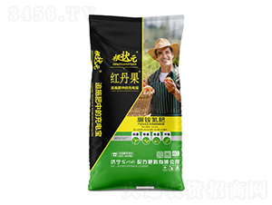 ���@����-����Ԫ-��W(w��ng)(li��n)