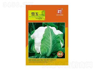 ���˷N��-ѩ��-���S�r(n��ng)�I(y��)