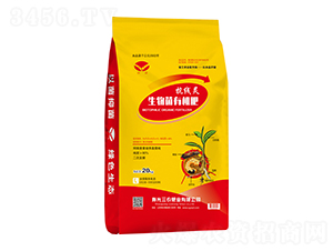 ������ЙC(j��)��-�����`-���r(n��ng)�ʘI(y��)