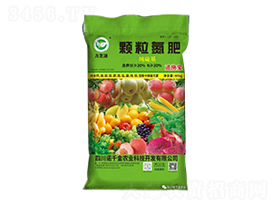 ��(j��ng)��(j��)���(zhu��n)���w������-��֥Դ-�Zǧ���r(n��ng)�I(y��)