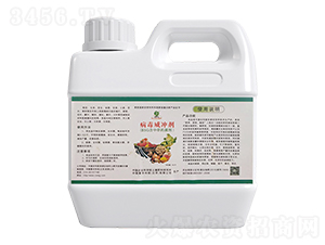 �������_����BSG���в�ˎ������-��΢���S