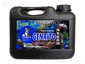 �ձ��M(j��n)�ں����~(y��)����-������-����