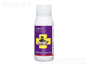 1%�׾S�}΢�鄩-���R-��̖(h��o)С�tñ