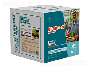 ľ�|(zh��)�ᡤ�{(di��o)���ɽ�-ʩ�ֿ�