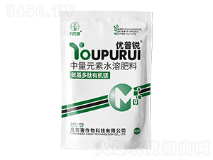 ���������ЙC(j��)�V-��(y��u)���J-���r(n��ng)��