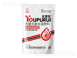 ���������ЙC(j��)�-��(y��u)���J-���r(n��ng)��