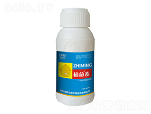 ˮ����ȫ���Է���-ֲ����-�İ�����