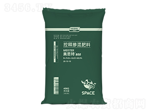 ��ጓ������28-10-10-��˼��800-������