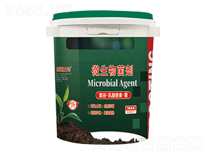 10kg΢�������-��������-������