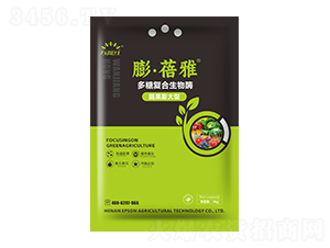 �A������Ͷ��Ǐͺ�����ø-������-�f���t-������