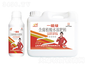 ����ֲ��ˮ�ܷ���-һ���G-�ƹ�ʯ