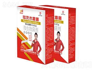 ����ľù��-�ƹ�ʯ